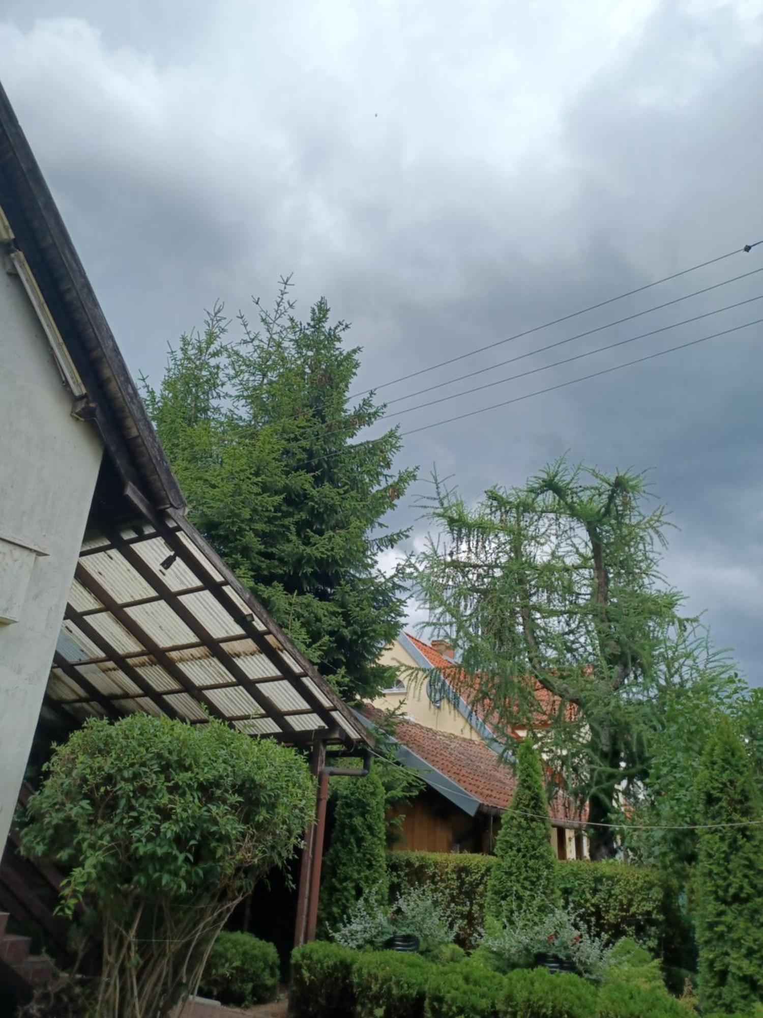 Apartamenty, Pokoje, Noclegi Pracownicze " Skarpa" Wilkasy Kültér fotó